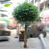 BTR012 GNW Artificial Tree Ficus 8ft High for Hotel Restaurant Garden Decoration Indoor