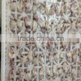 IQF/block Baby Squid Loligo Japonica thumbnail-4