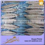 Skinless and Boneless Pacific Mackerel Fillet thumbnail-4