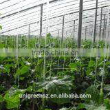 Commercial Multi Span Agricultural Film Greenhouse for Sale thumbnail-1
