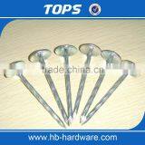 China Umbrella Nails Corrugated Nails thumbnail-5