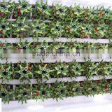 Lucky Bamboo Tower ( 2 Layers) thumbnail-1