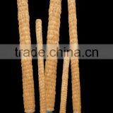 Plant Support thumbnail-1