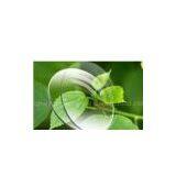 1.499 Single Vision Lens thumbnail-1