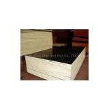 Phenolic Film Faced Plywood thumbnail-1