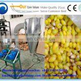 Best Quality Ginkgo Nuts Shelling Machine/Gingko Peeling Machine thumbnail-4