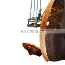 Qingdao Yiwu China Certified Organic Honey Roasted Roasted Nutrition Sunflower Seed Chacha thumbnail-1