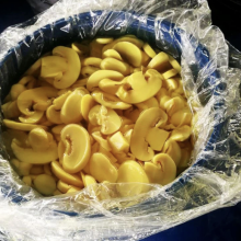 Whole Mushroom Slice Mushroom in Brine or in SO2 in Drum SETA Preservada en Tambor thumbnail-4