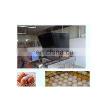 Egg Production Line/ Egg Washing Cleaning Drying Printing Grading Production Line thumbnail-2