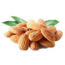Bitter Almond Extract Vitamin B17 Amygdalin Cas Number 29883-15-6 thumbnail-2