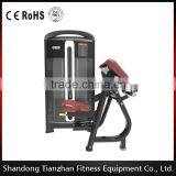 Comercial Biceps Curl Machine For GYM From TZ Fitness CE TUV SGS ISO Approved thumbnail-1