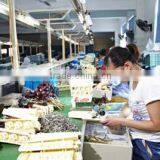 Wenzhou Elendax Electrical Co., Ltd. company overview - view 2 thumbnail