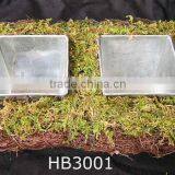 Moss Zinc Planter thumbnail-1