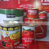 Good Quality Tomato Paste, Hot Sizes 70g ~ 3000g thumbnail-6
