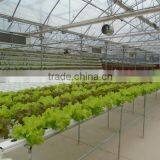Trinog-xs (Xiamen) Greenhouse Tech Co., Ltd. company overview - view 4 thumbnail