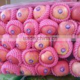 Famous Apples thumbnail-1