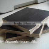 brown film faced construction plywood manufacturer
