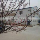 Qinhuangdao Yaoxing Aids To Navigation Technology Co., Ltd. company overview - view 3 thumbnail