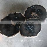 Coffee Table Set Petrified Wood, Top Quality Petrified Wood Tables thumbnail-1