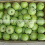 Green Apple thumbnail-1
