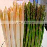 Wholesale China Product Canned Asparagus in Brine thumbnail-1