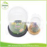 Bulk Buy From China Butterfly , Tillandsia Plants , Miniature Fairy Garden in 30cm Dome Clear Figurine Display Glass Cloche thumbnail-3