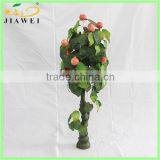 Wholesale Cheap Apple Fruit TREE