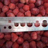 Frozen Strawberry thumbnail-2