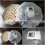 Small Automatic Computer Control Incubator thumbnail-1