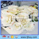 Simulation Art Rose thumbnail-2