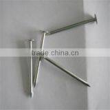 Galvanized Roofing Nai /roofing Nail With Umbrella Head thumbnail-5