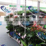 123 Seedling Retail Containers, Seedling European Flower Trolley, Seedling Pot Plant Trolley thumbnail-4