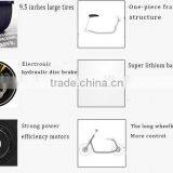 Fahshion 800W/1000W Brushless Motor Adult Electric Scooter, 2 Wheels Electric Scooter (TKE-S800) thumbnail-6