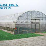 Factory Price Plastic Angricultural Greenhouses For Sale thumbnail-4