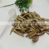 7 mm Pet Cat Food Dried Fish;Freeze Dried Fish thumbnail-5