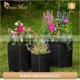 Grow Bags Type and Felt Fabric Material Fabric Smart Pot thumbnail-5