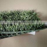 Fire-proof and UV-proof Artificial Grass Plastic Graden Fence thumbnail-3