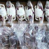 Frozen Blue Swimming Crab China Suppliers thumbnail-1