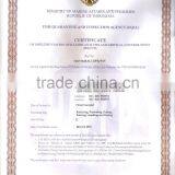 Eucheuma Spinosum thumbnail-6