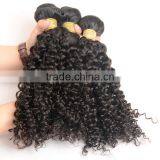 Wholesale 100% Natural Indian Human Hair Price List, Unprocessed Virgin Raw Indian Curly Hair thumbnail-4
