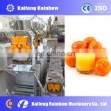 High Efficiency New Design Orange Juice Making Machine Itrus Juice Squeezer Machine With CE thumbnail-4