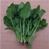 DONGJIAKOU PORT SHIP CHANDLER SHIPCHANDLER IN CHINA thumbnail-3