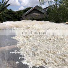 Dried Fish Scale From Vietnam / Fish Scale for Collagen thumbnail-5