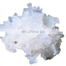 100% Natural Dried Snow Mushroom/fungus High Quality From Vietnam