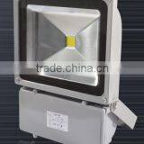 LED Project Lamp Waterproof Outdoor 100w