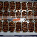 High Quality Canned Mussels in Garlic Butter thumbnail-3