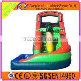 2016 Pop-selling Custom Made Inflatable Plastic Water Slide