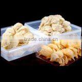 Bird Nest From Indonesia is The Best in the World thumbnail-1