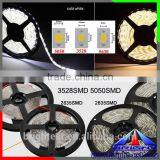 Decorative Colorful 3014SMD IP65 Waterproof Double Side Row Flexible LED Strip