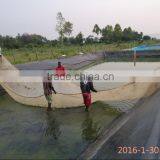 the Traditional Aguaculture System for Catfish thumbnail-1
